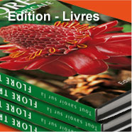 Edition